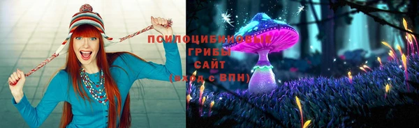 ешки Абаза