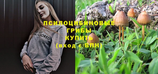 ешки Абаза
